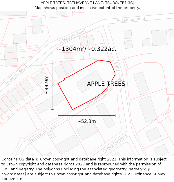 APPLE TREES, TREHAVERNE LANE, TRURO, TR1 3SJ: Plot and title map