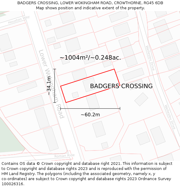 BADGERS CROSSING, LOWER WOKINGHAM ROAD, CROWTHORNE, RG45 6DB: Plot and title map