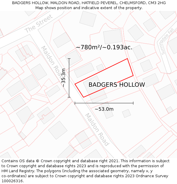 BADGERS HOLLOW, MALDON ROAD, HATFIELD PEVEREL, CHELMSFORD, CM3 2HG: Plot and title map