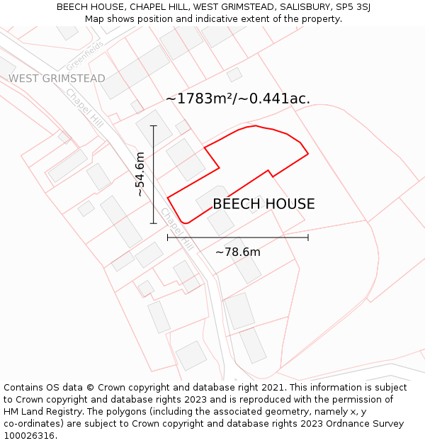 BEECH HOUSE, CHAPEL HILL, WEST GRIMSTEAD, SALISBURY, SP5 3SJ: Plot and title map