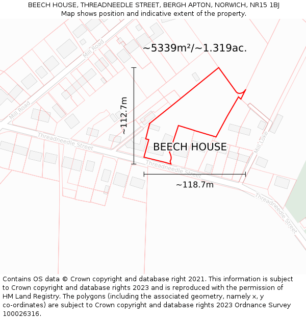 BEECH HOUSE, THREADNEEDLE STREET, BERGH APTON, NORWICH, NR15 1BJ: Plot and title map
