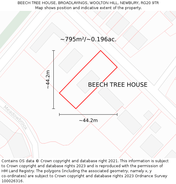 BEECH TREE HOUSE, BROADLAYINGS, WOOLTON HILL, NEWBURY, RG20 9TR: Plot and title map