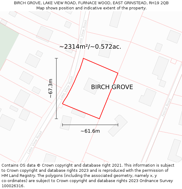 BIRCH GROVE, LAKE VIEW ROAD, FURNACE WOOD, EAST GRINSTEAD, RH19 2QB: Plot and title map