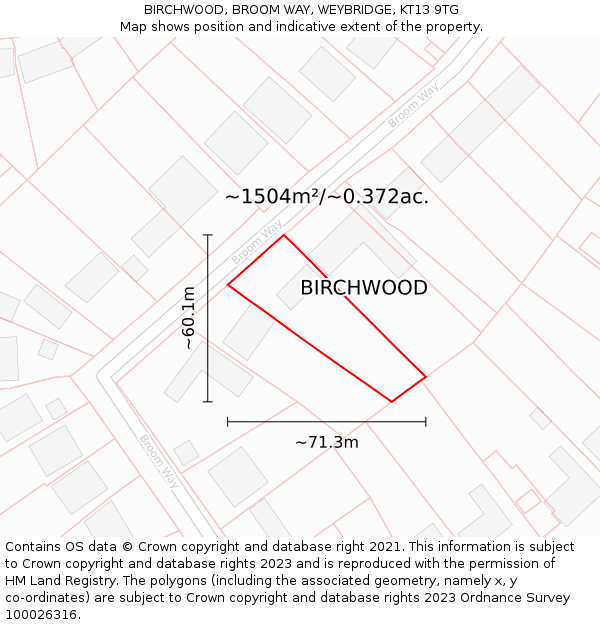 BIRCHWOOD, BROOM WAY, WEYBRIDGE, KT13 9TG: Plot and title map