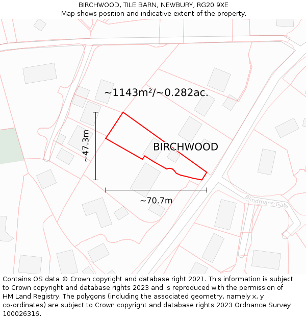 BIRCHWOOD, TILE BARN, NEWBURY, RG20 9XE: Plot and title map