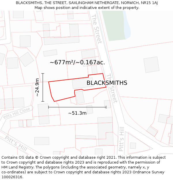 BLACKSMITHS, THE STREET, SAXLINGHAM NETHERGATE, NORWICH, NR15 1AJ: Plot and title map