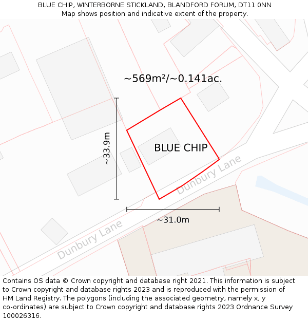 BLUE CHIP, WINTERBORNE STICKLAND, BLANDFORD FORUM, DT11 0NN: Plot and title map