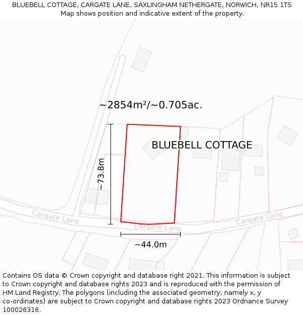 BLUEBELL COTTAGE, CARGATE LANE, SAXLINGHAM NETHERGATE, NORWICH, NR15 1TS: Plot and title map