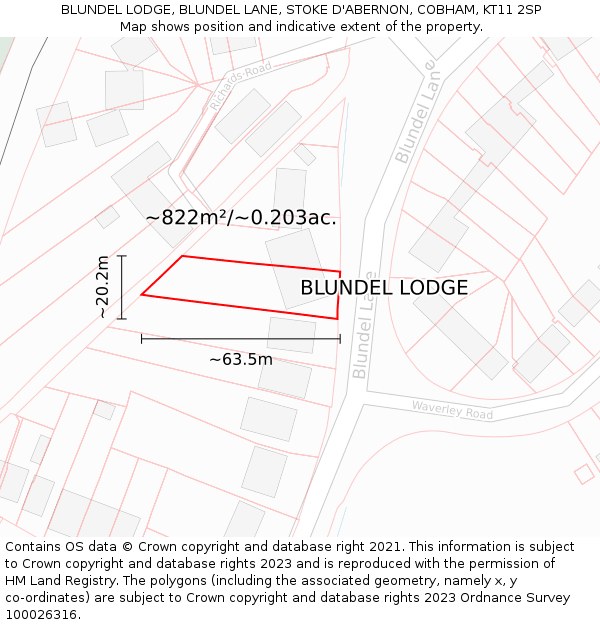 BLUNDEL LODGE, BLUNDEL LANE, STOKE D'ABERNON, COBHAM, KT11 2SP: Plot and title map