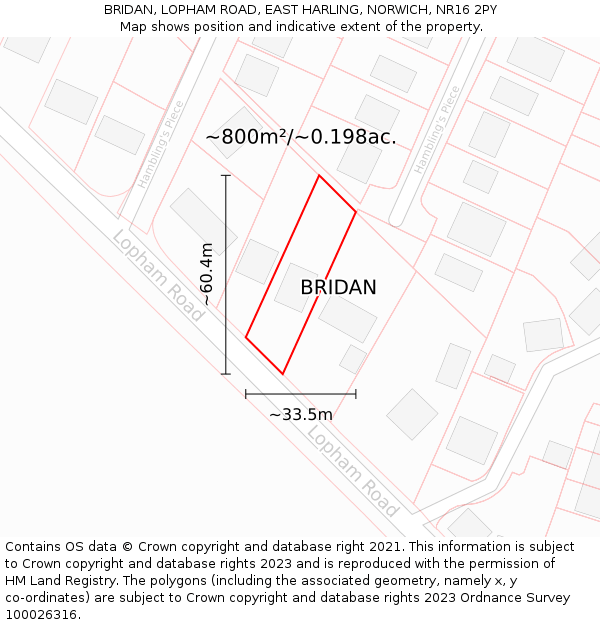 BRIDAN, LOPHAM ROAD, EAST HARLING, NORWICH, NR16 2PY: Plot and title map