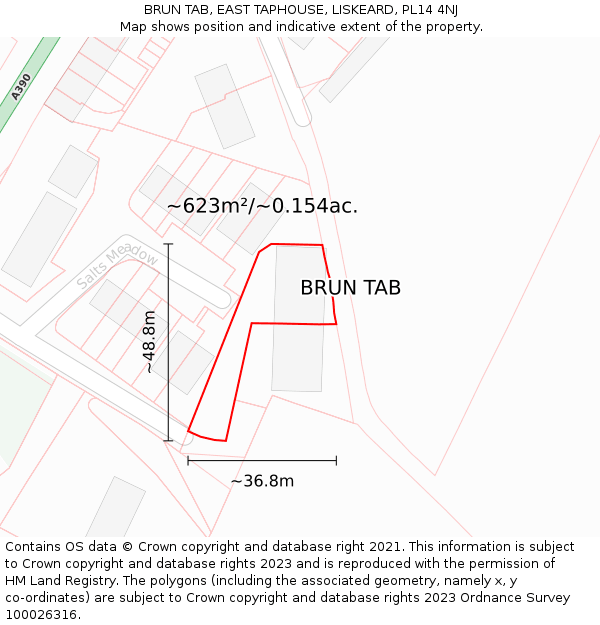 BRUN TAB, EAST TAPHOUSE, LISKEARD, PL14 4NJ: Plot and title map