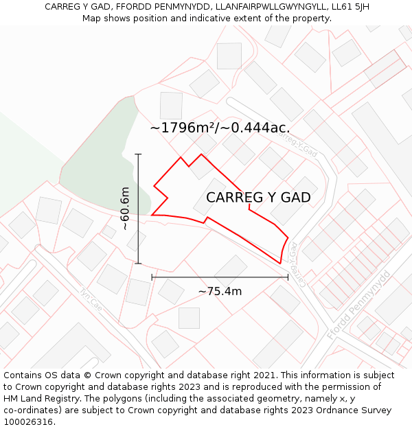 CARREG Y GAD, FFORDD PENMYNYDD, LLANFAIRPWLLGWYNGYLL, LL61 5JH: Plot and title map