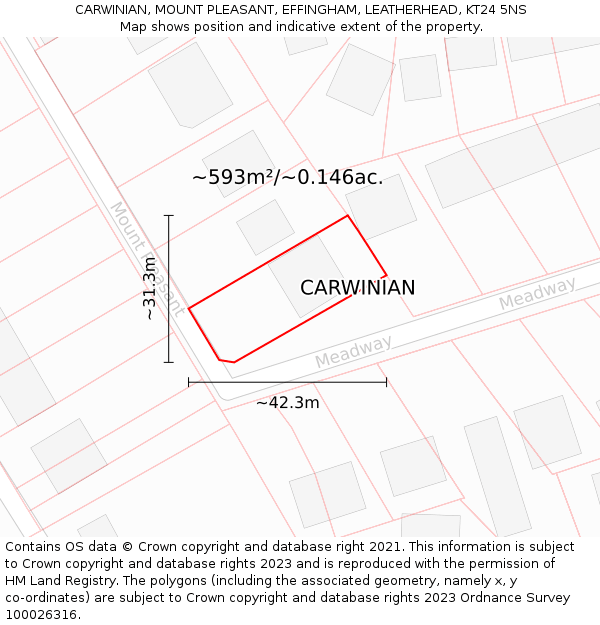 CARWINIAN, MOUNT PLEASANT, EFFINGHAM, LEATHERHEAD, KT24 5NS: Plot and title map