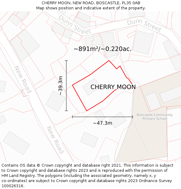 CHERRY MOON, NEW ROAD, BOSCASTLE, PL35 0AB: Plot and title map