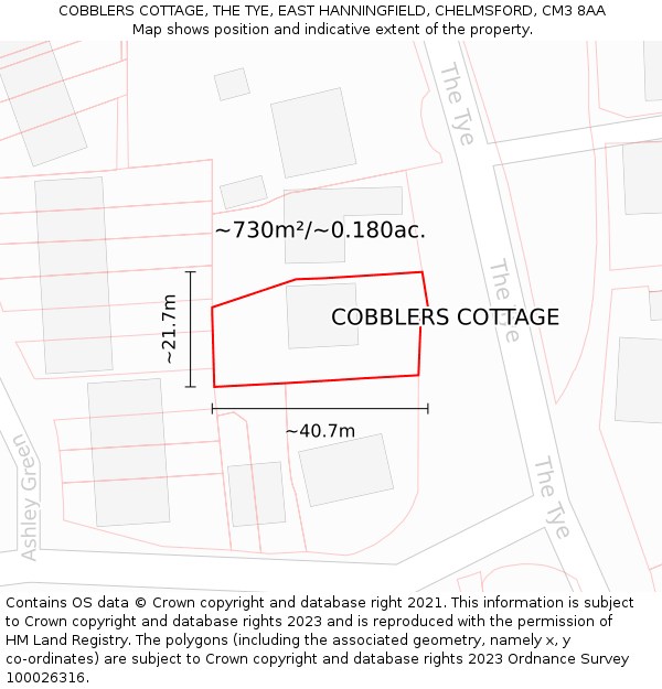 COBBLERS COTTAGE, THE TYE, EAST HANNINGFIELD, CHELMSFORD, CM3 8AA: Plot and title map