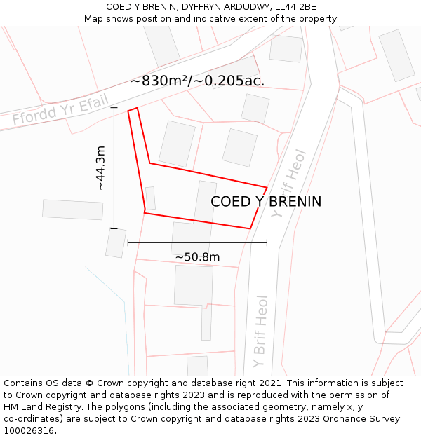 COED Y BRENIN, DYFFRYN ARDUDWY, LL44 2BE: Plot and title map