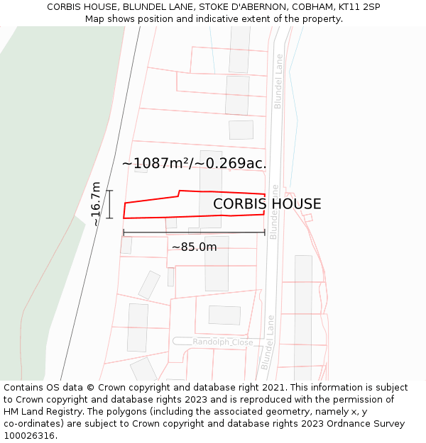 CORBIS HOUSE, BLUNDEL LANE, STOKE D'ABERNON, COBHAM, KT11 2SP: Plot and title map