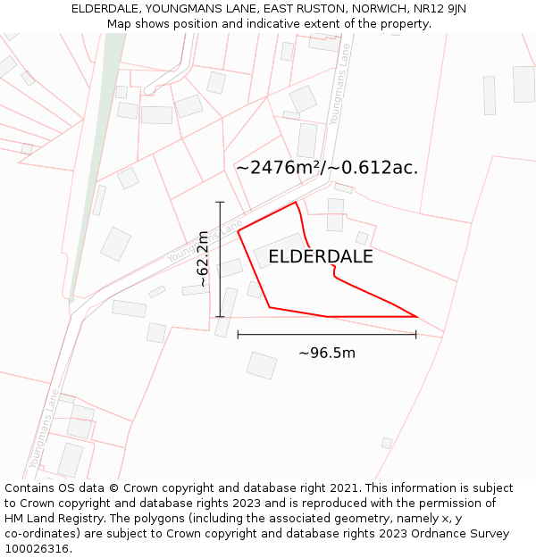 ELDERDALE, YOUNGMANS LANE, EAST RUSTON, NORWICH, NR12 9JN: Plot and title map