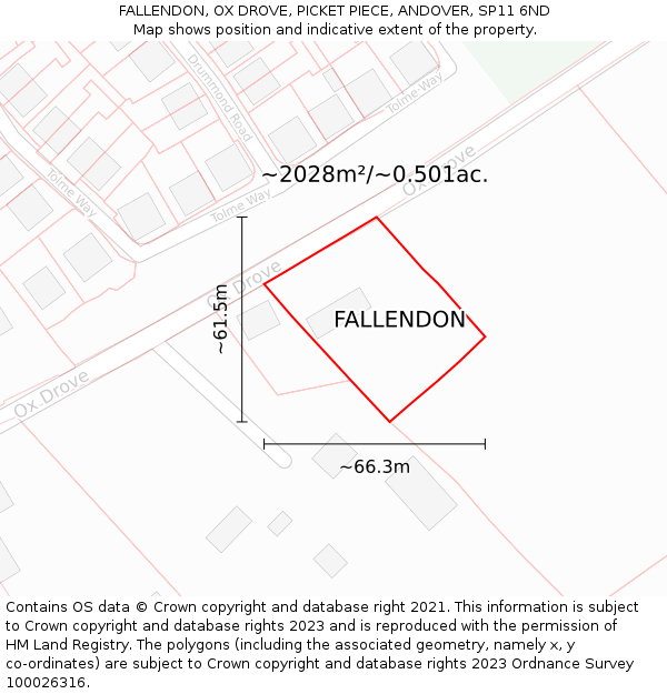 FALLENDON, OX DROVE, PICKET PIECE, ANDOVER, SP11 6ND: Plot and title map