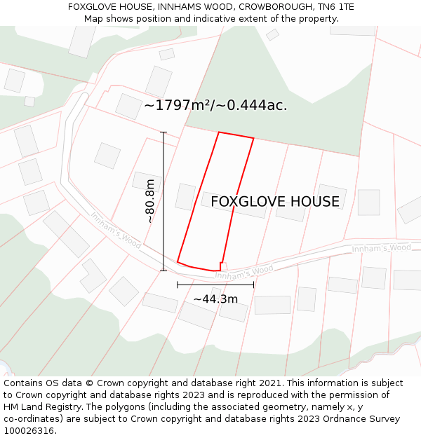 FOXGLOVE HOUSE, INNHAMS WOOD, CROWBOROUGH, TN6 1TE: Plot and title map
