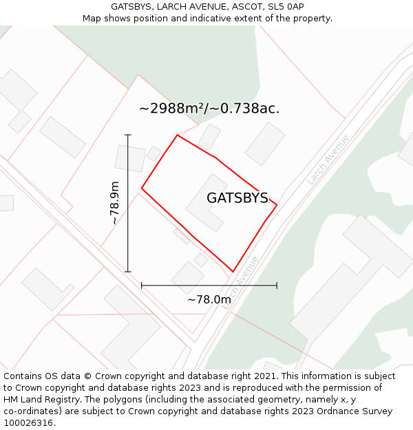 GATSBYS, LARCH AVENUE, ASCOT, SL5 0AP: Plot and title map