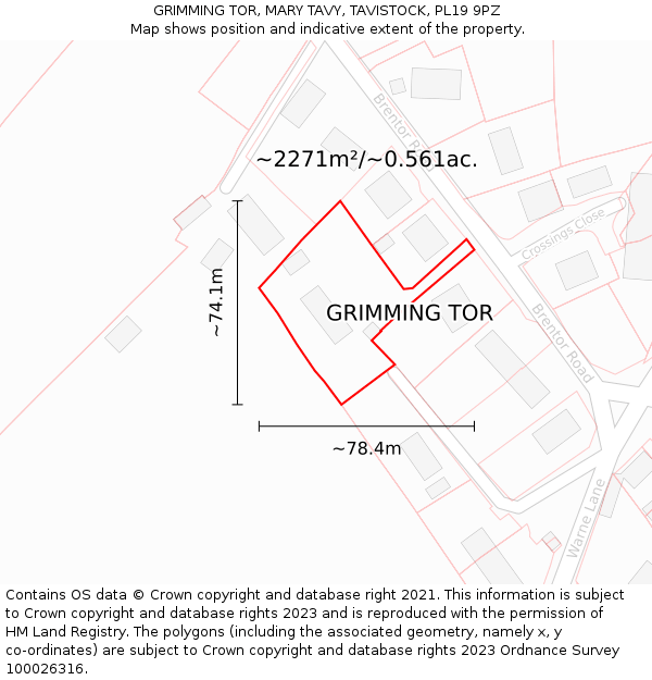 GRIMMING TOR, MARY TAVY, TAVISTOCK, PL19 9PZ: Plot and title map