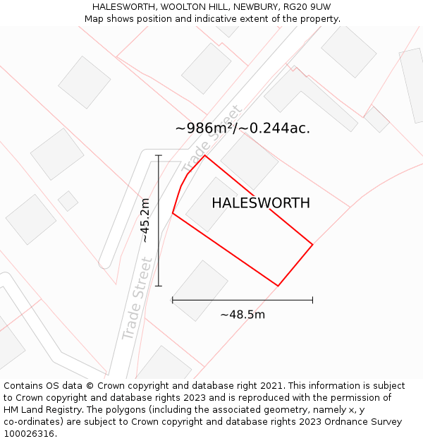 HALESWORTH, WOOLTON HILL, NEWBURY, RG20 9UW: Plot and title map