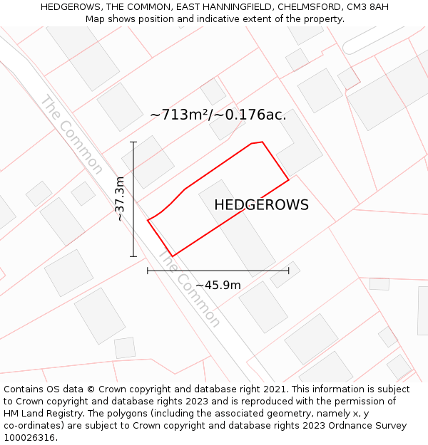 HEDGEROWS, THE COMMON, EAST HANNINGFIELD, CHELMSFORD, CM3 8AH: Plot and title map