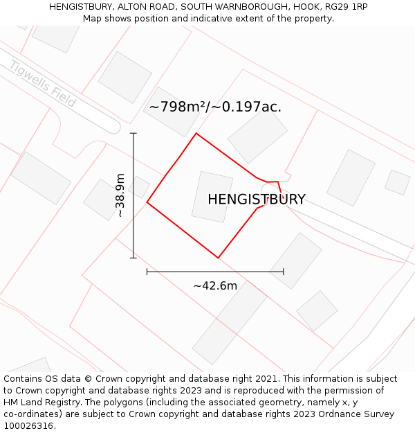 HENGISTBURY, ALTON ROAD, SOUTH WARNBOROUGH, HOOK, RG29 1RP: Plot and title map