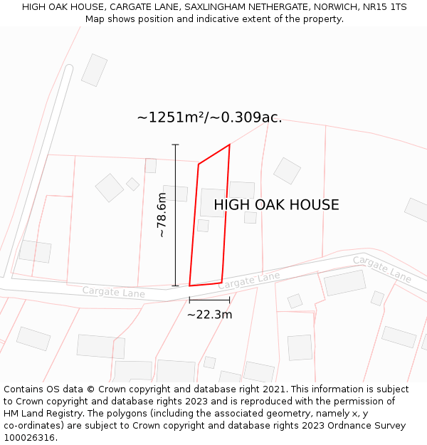HIGH OAK HOUSE, CARGATE LANE, SAXLINGHAM NETHERGATE, NORWICH, NR15 1TS: Plot and title map