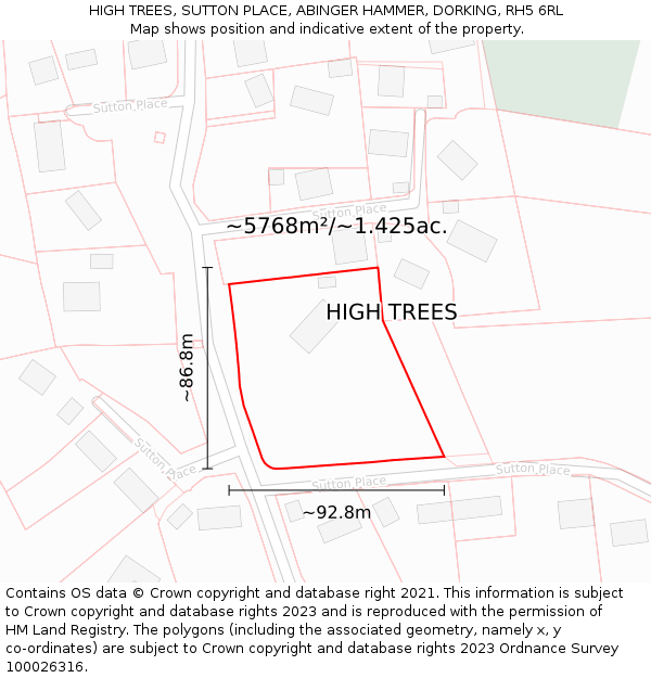 HIGH TREES, SUTTON PLACE, ABINGER HAMMER, DORKING, RH5 6RL: Plot and title map