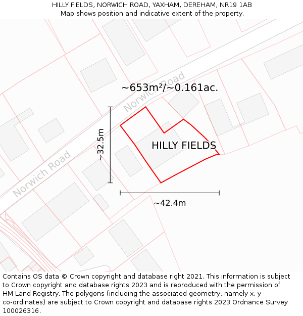 HILLY FIELDS, NORWICH ROAD, YAXHAM, DEREHAM, NR19 1AB: Plot and title map