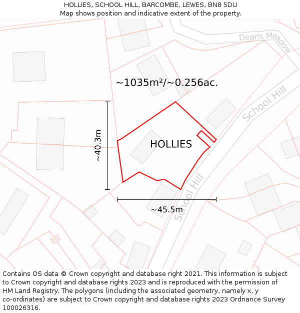 HOLLIES, SCHOOL HILL, BARCOMBE, LEWES, BN8 5DU: Plot and title map