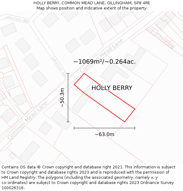 HOLLY BERRY, COMMON MEAD LANE, GILLINGHAM, SP8 4RE: Plot and title map