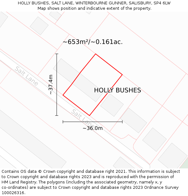 HOLLY BUSHES, SALT LANE, WINTERBOURNE GUNNER, SALISBURY, SP4 6LW: Plot and title map