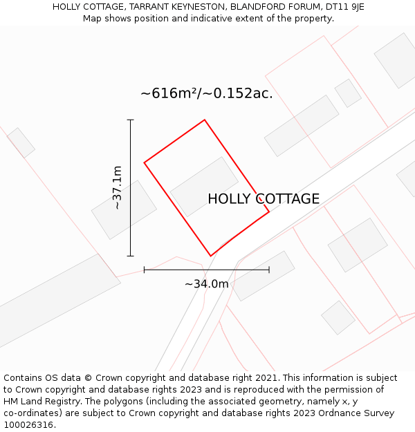 HOLLY COTTAGE, TARRANT KEYNESTON, BLANDFORD FORUM, DT11 9JE: Plot and title map