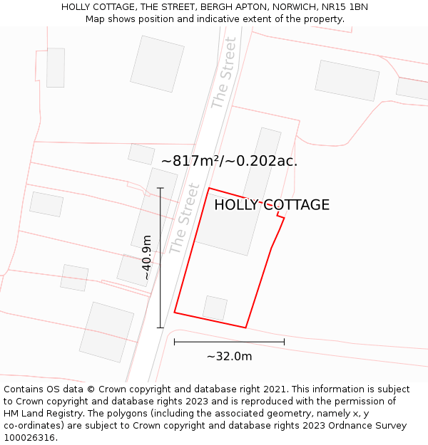 HOLLY COTTAGE, THE STREET, BERGH APTON, NORWICH, NR15 1BN: Plot and title map