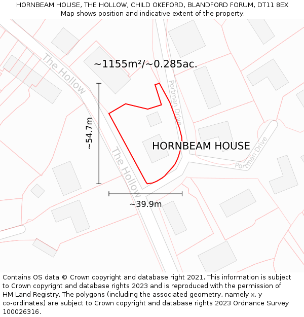 HORNBEAM HOUSE, THE HOLLOW, CHILD OKEFORD, BLANDFORD FORUM, DT11 8EX: Plot and title map