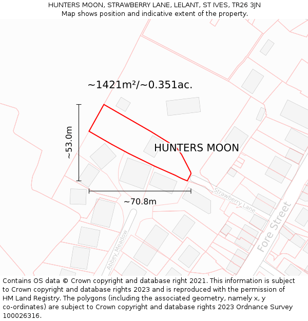 HUNTERS MOON, STRAWBERRY LANE, LELANT, ST IVES, TR26 3JN: Plot and title map