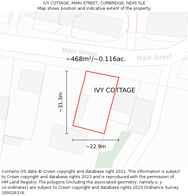 IVY COTTAGE, MAIN STREET, CORBRIDGE, NE45 5LE: Plot and title map