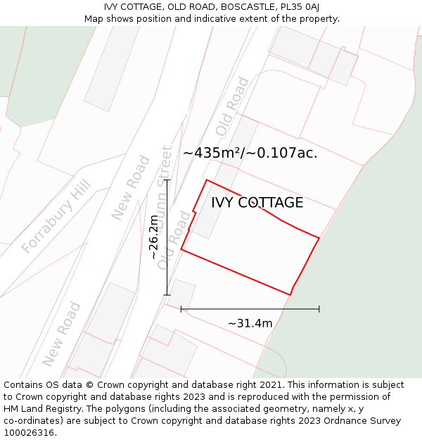 IVY COTTAGE, OLD ROAD, BOSCASTLE, PL35 0AJ: Plot and title map