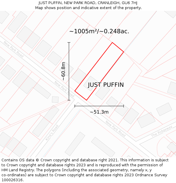 JUST PUFFIN, NEW PARK ROAD, CRANLEIGH, GU6 7HJ: Plot and title map