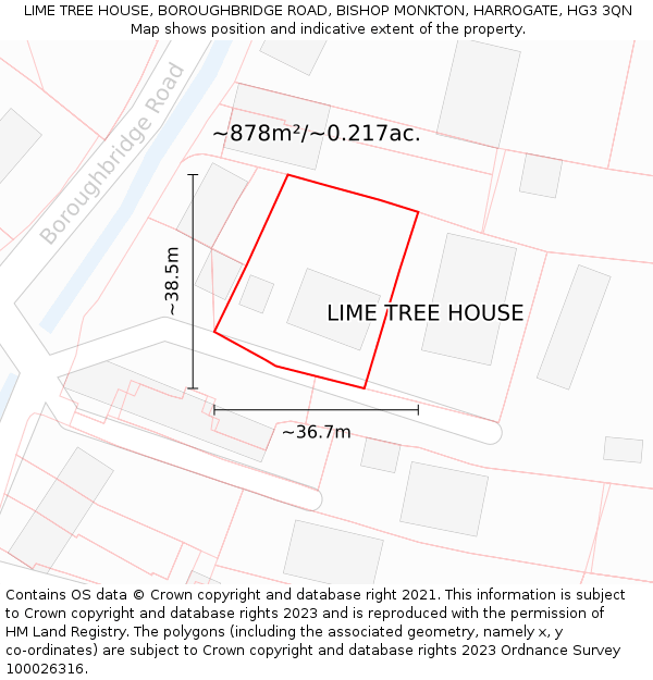 LIME TREE HOUSE, BOROUGHBRIDGE ROAD, BISHOP MONKTON, HARROGATE, HG3 3QN: Plot and title map