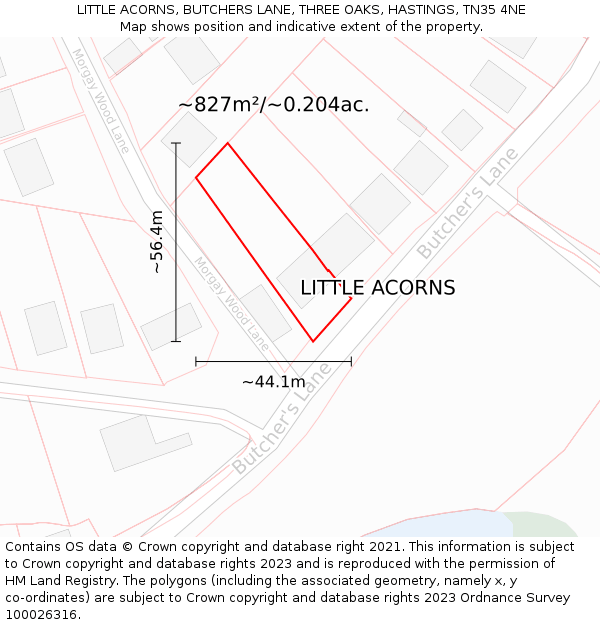 LITTLE ACORNS, BUTCHERS LANE, THREE OAKS, HASTINGS, TN35 4NE: Plot and title map