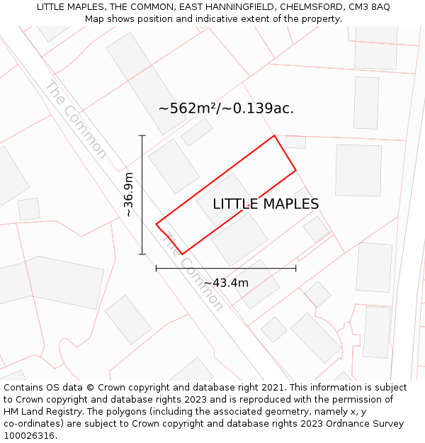 LITTLE MAPLES, THE COMMON, EAST HANNINGFIELD, CHELMSFORD, CM3 8AQ: Plot and title map