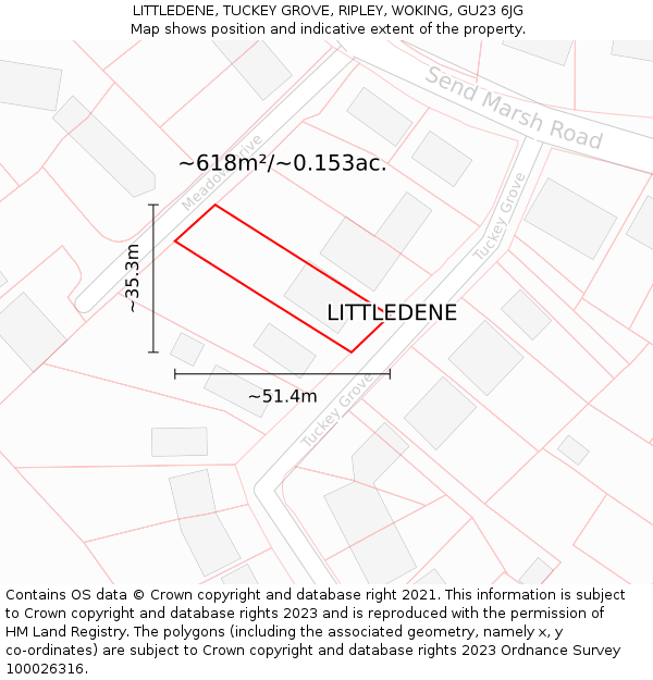 LITTLEDENE, TUCKEY GROVE, RIPLEY, WOKING, GU23 6JG: Plot and title map