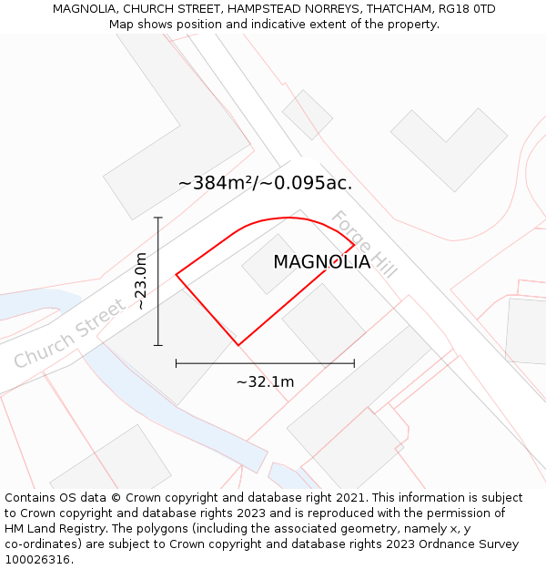 MAGNOLIA, CHURCH STREET, HAMPSTEAD NORREYS, THATCHAM, RG18 0TD: Plot and title map