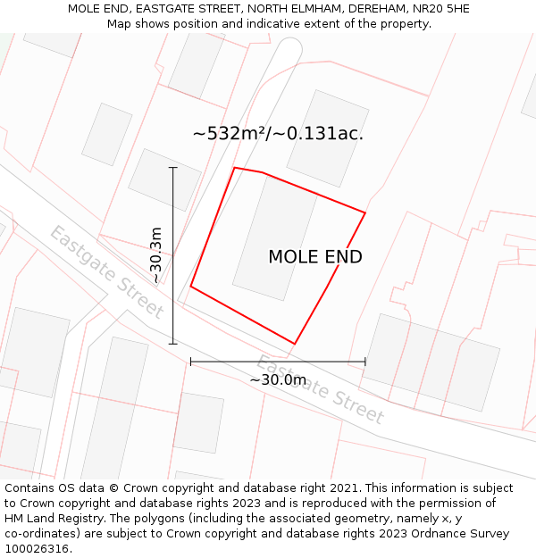MOLE END, EASTGATE STREET, NORTH ELMHAM, DEREHAM, NR20 5HE: Plot and title map