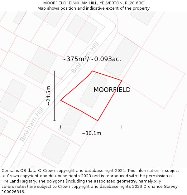 MOORFIELD, BINKHAM HILL, YELVERTON, PL20 6BG: Plot and title map