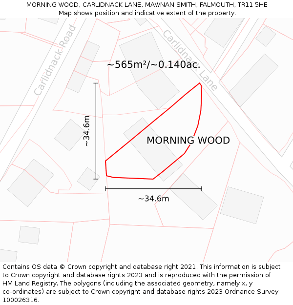 MORNING WOOD, CARLIDNACK LANE, MAWNAN SMITH, FALMOUTH, TR11 5HE: Plot and title map